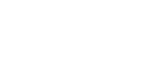 Fin
